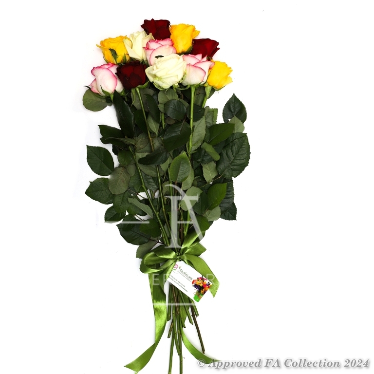 Bouquet of 11 Colorful Roses