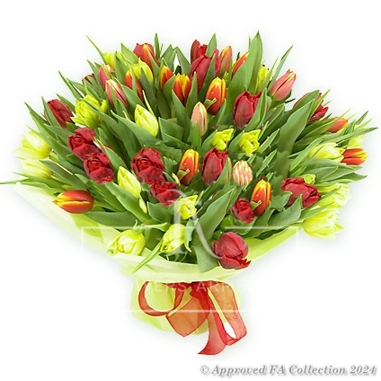 Bouquet of 77 Colorful Tulips