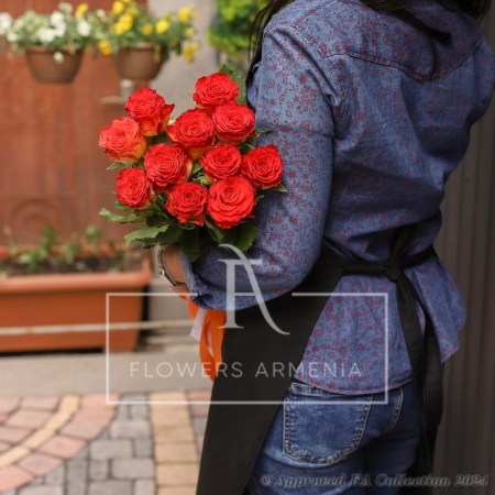Attractive Roses