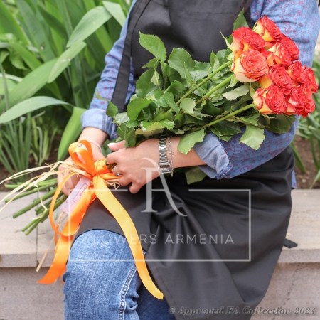 Attractive Roses