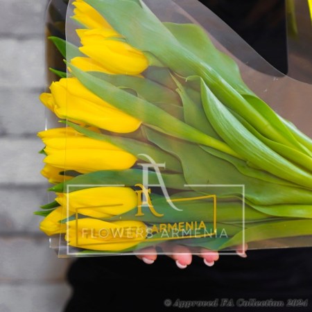 Pretty Yellow Tulips