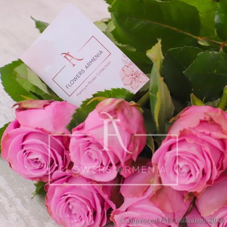 Cute Pink Roses