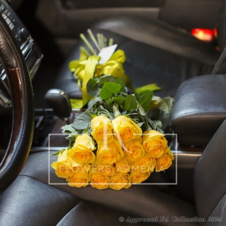 Yellow Roses For you