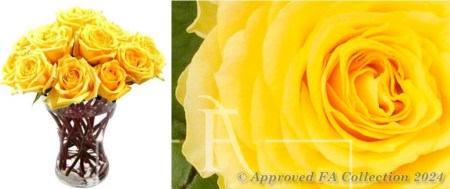 Just 15 Yellow Roses in Vase