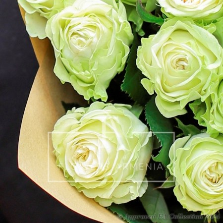 Bouquet of 17 White Roses