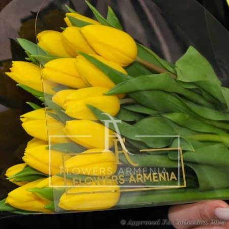 Sweetheart Tulips