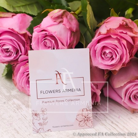 21 Attractive Roses
