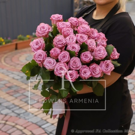 Too Attractive Roses
