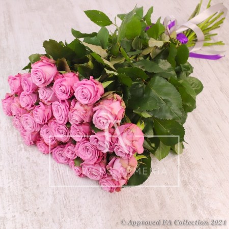 Pink Beauty