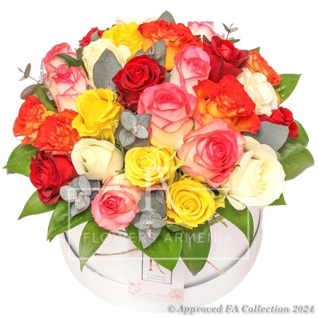 31 Delightful roses