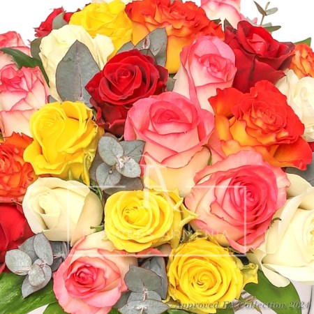 31 Delightful roses