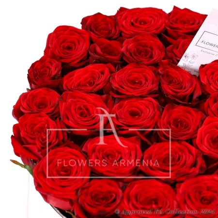 Roses for Evoking Emotions