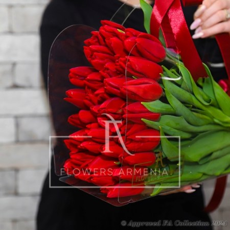 Festive Red Tulips