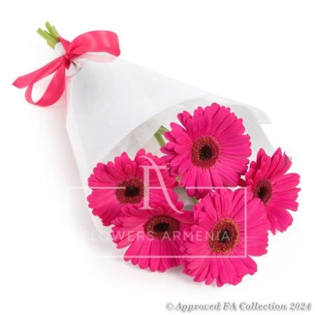 Happy Pink Gerberas