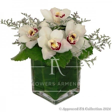 Brilliant Orchids Composition