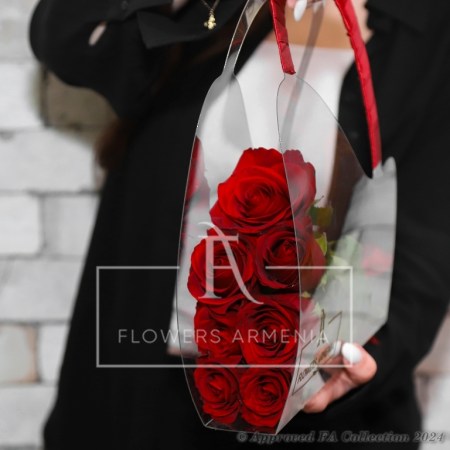 Red Elegance