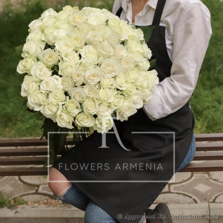 Adorable White Roses