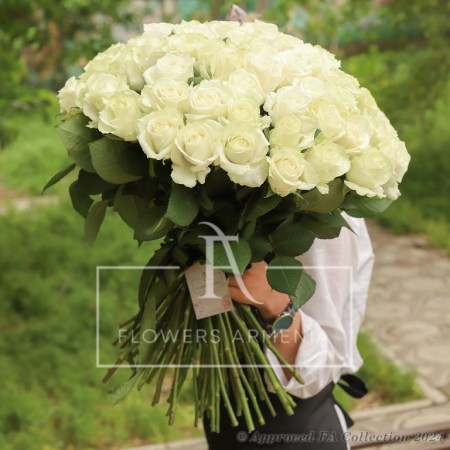 Just White Roses