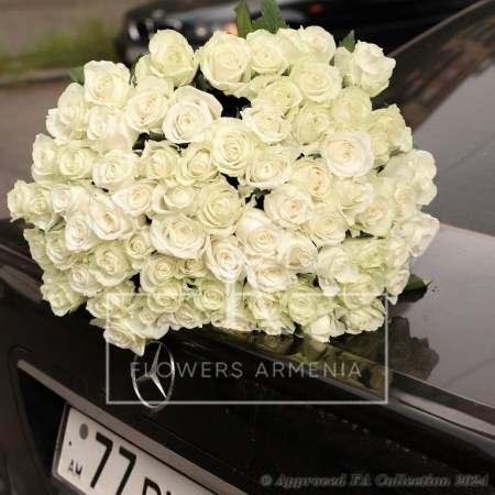 Adorable White Roses
