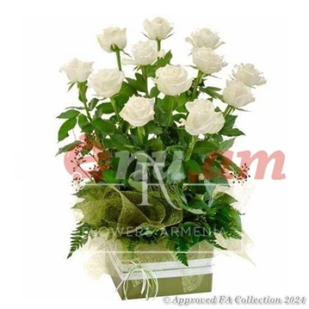 White Roses