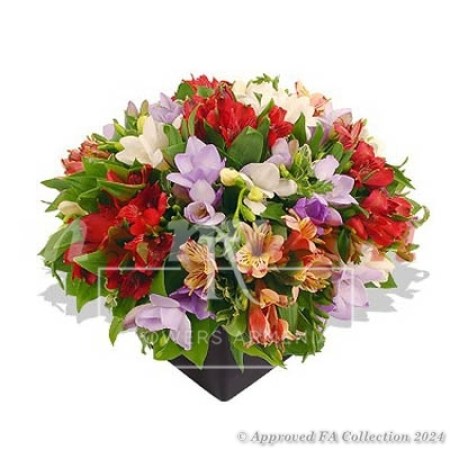 Congratulation