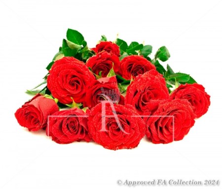 Fiery roses