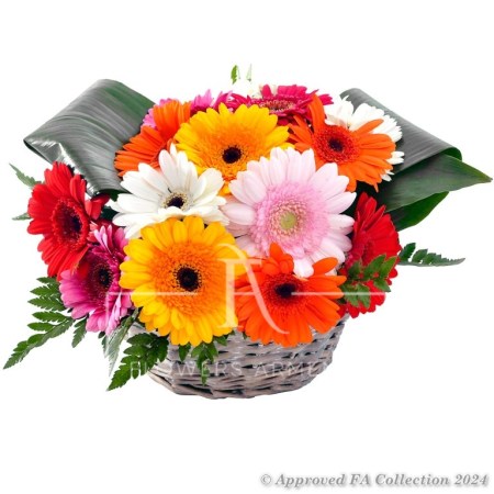 Colorful Basket