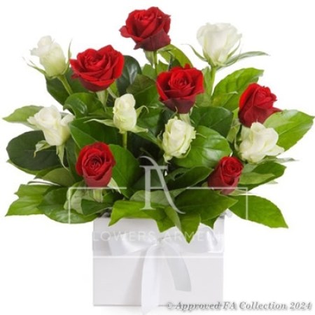 Red and white roses in a box