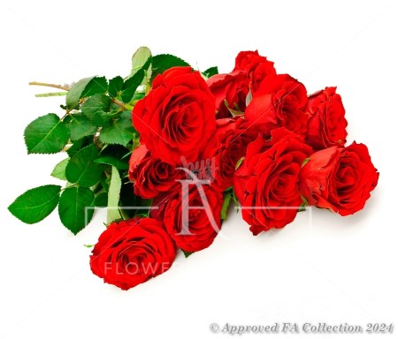Bouquet of roses