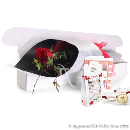 The secret of the red rose