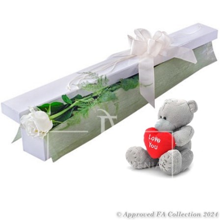 The bear and the rose
