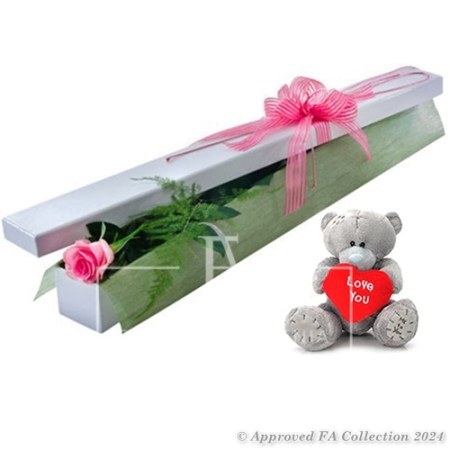 From your favorite bear
