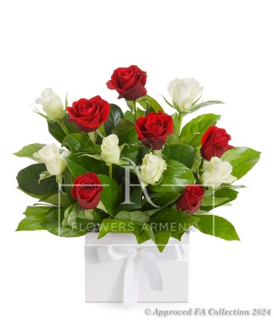 Red և White