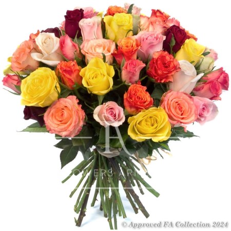 Multicolored roses