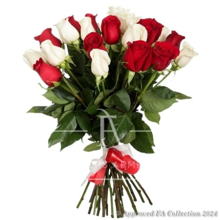 Holiday roses