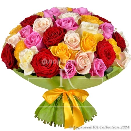 55 Colorful Roses