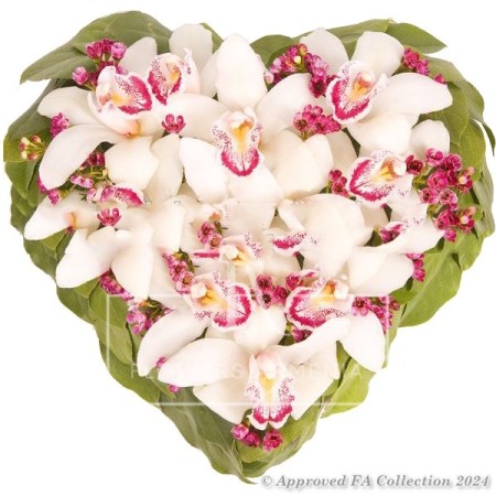 My heart is only yours!