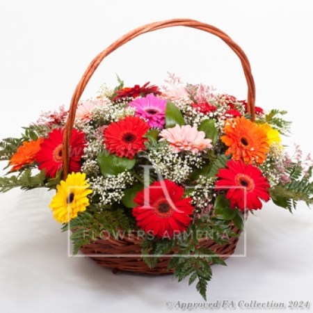 Basket with 25 colored gerberas