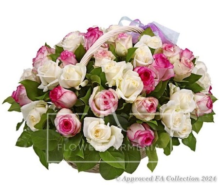 55 white and pink roses
