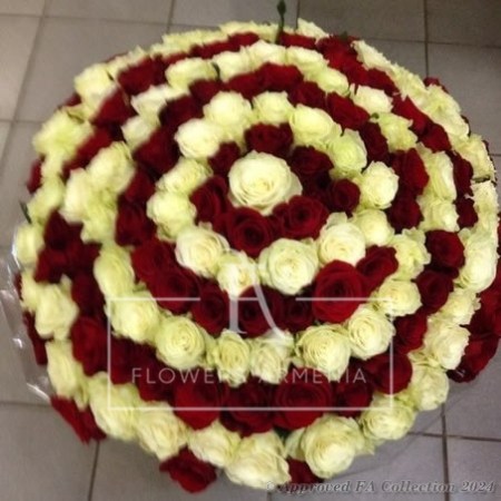 Charming roses