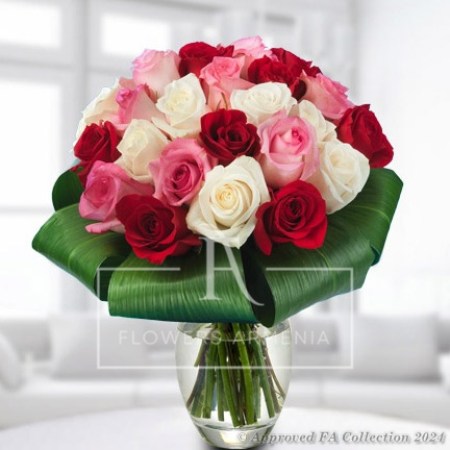 The Charm of Colorful Roses