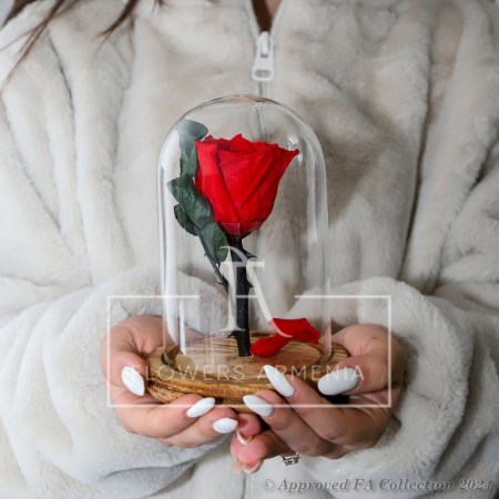 Eternal Rose