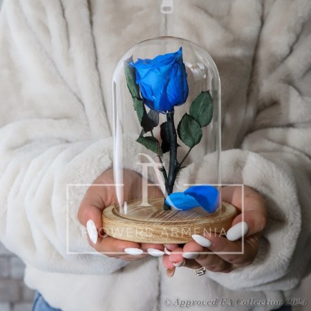 Eternal Rose