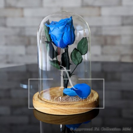 Eternal Rose