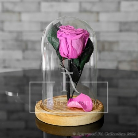 Eternal Rose