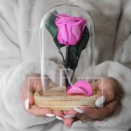 Eternal Rose