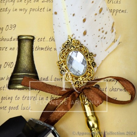 Calligraphy Pens Collection