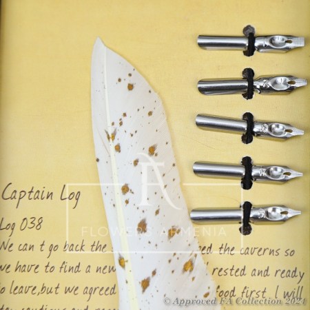 Calligraphy Pens Collection