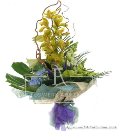 Orchids Galore