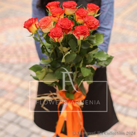 Attractive Roses